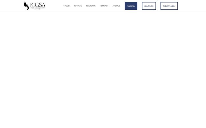 Screenshot of kigsa.lt