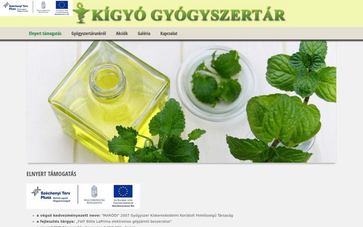 Screenshot of kigyogyogyszertarszolnok.hu