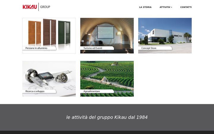 Screenshot of kikaugroup.com