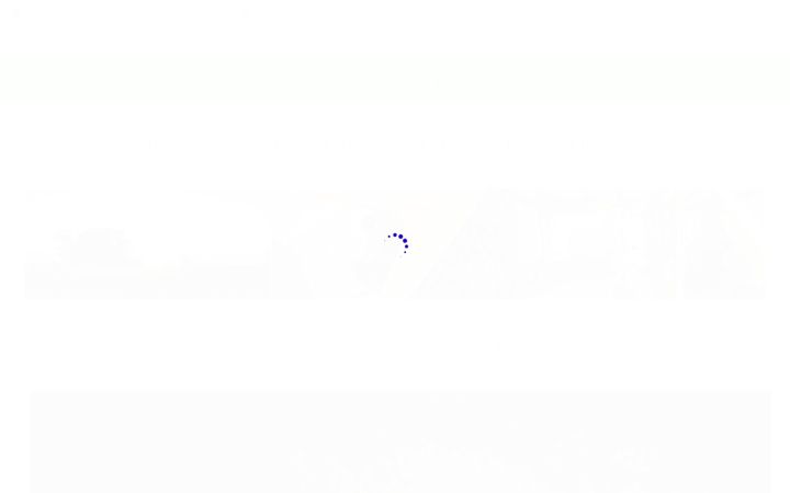 Screenshot of kikishof.de