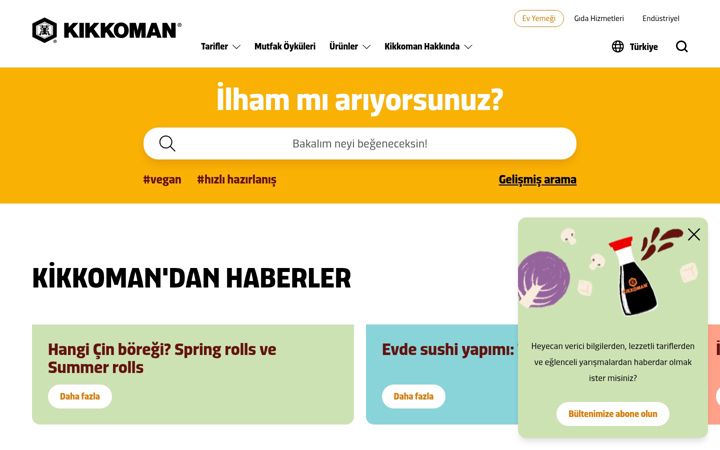 Screenshot of kikkoman.com.tr