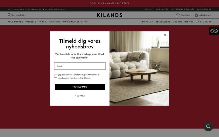 Zrzut ekranu kilands.dk