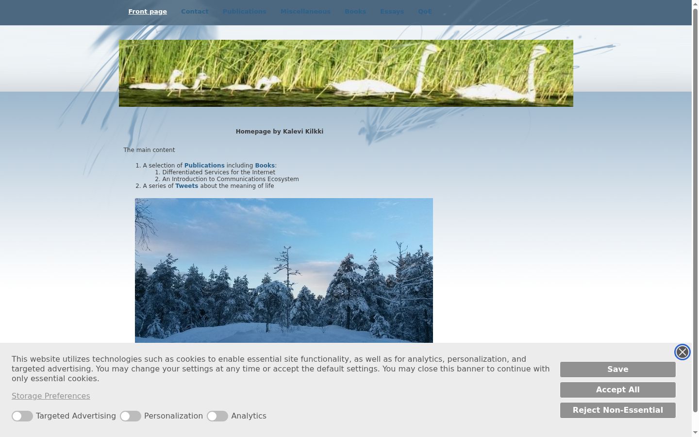 Screenshot del banner di consenso mostrato prima di qualsiasi interazione