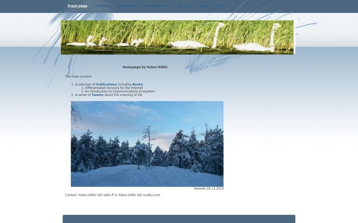 Screenshot of kilkki.net