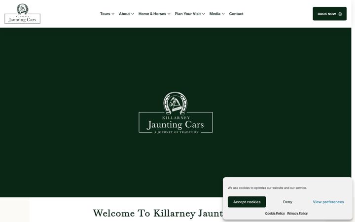 Screenshot of killarneyjauntingcars.com