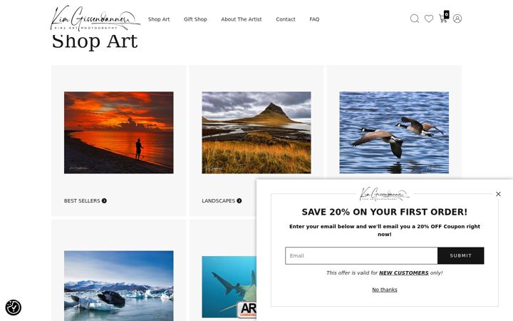 Screenshot of kimgissendanner.com