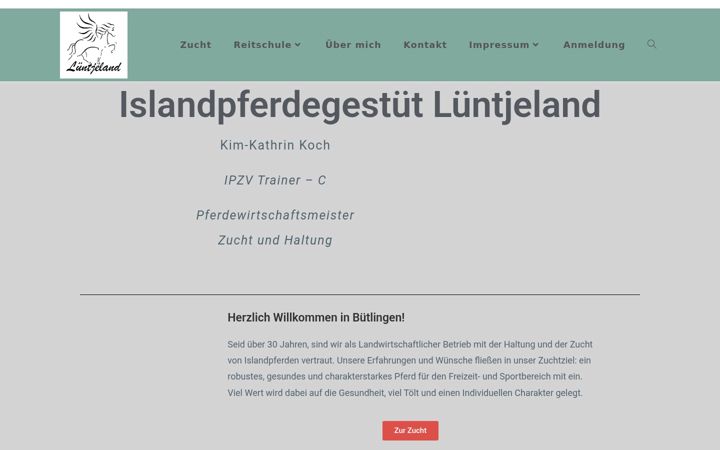 Screenshot of kimikoch.de