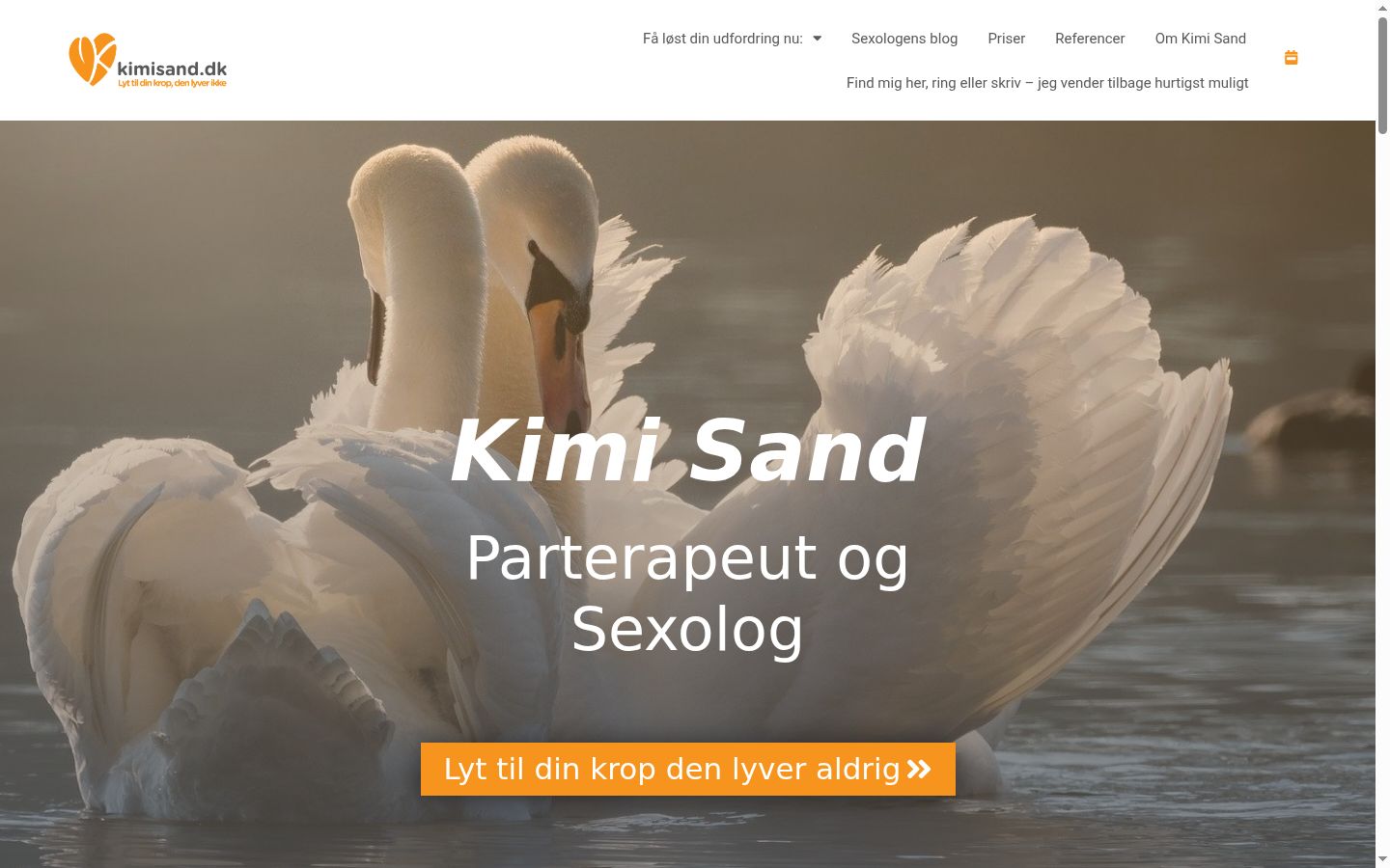 Skærmbillede af samtykkebanneret, som det blev vist før nogen interaktion