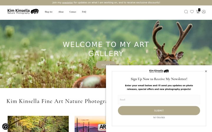 Screenshot of kimkinsella.com