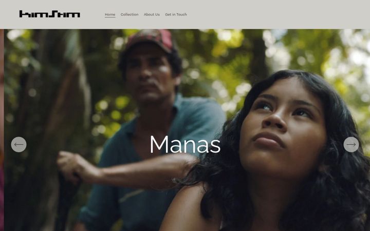 Screenshot of kimstim.com