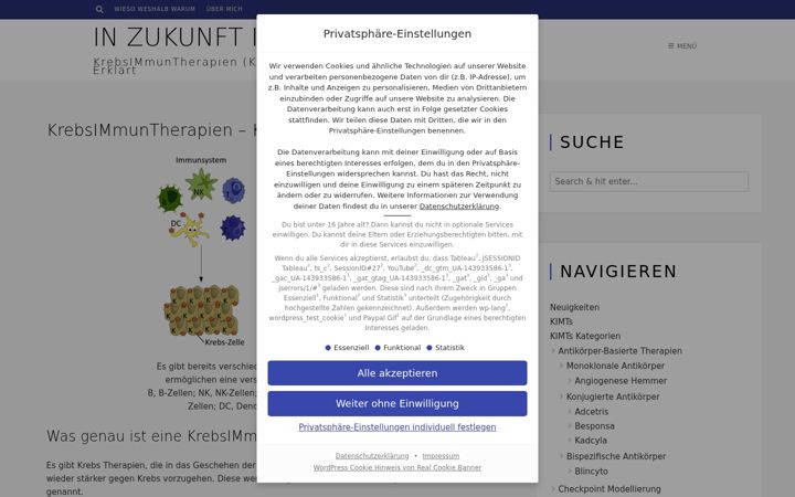 Screenshot of kimt.eu