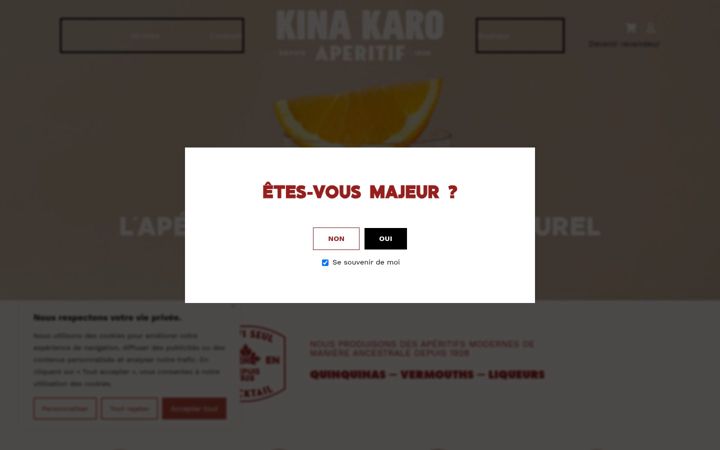 Screenshot of kinakaro.fr