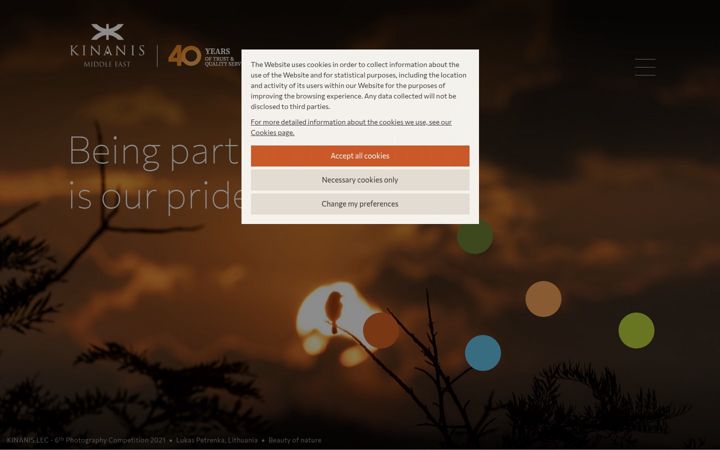 Screenshot of kinanisuae.com