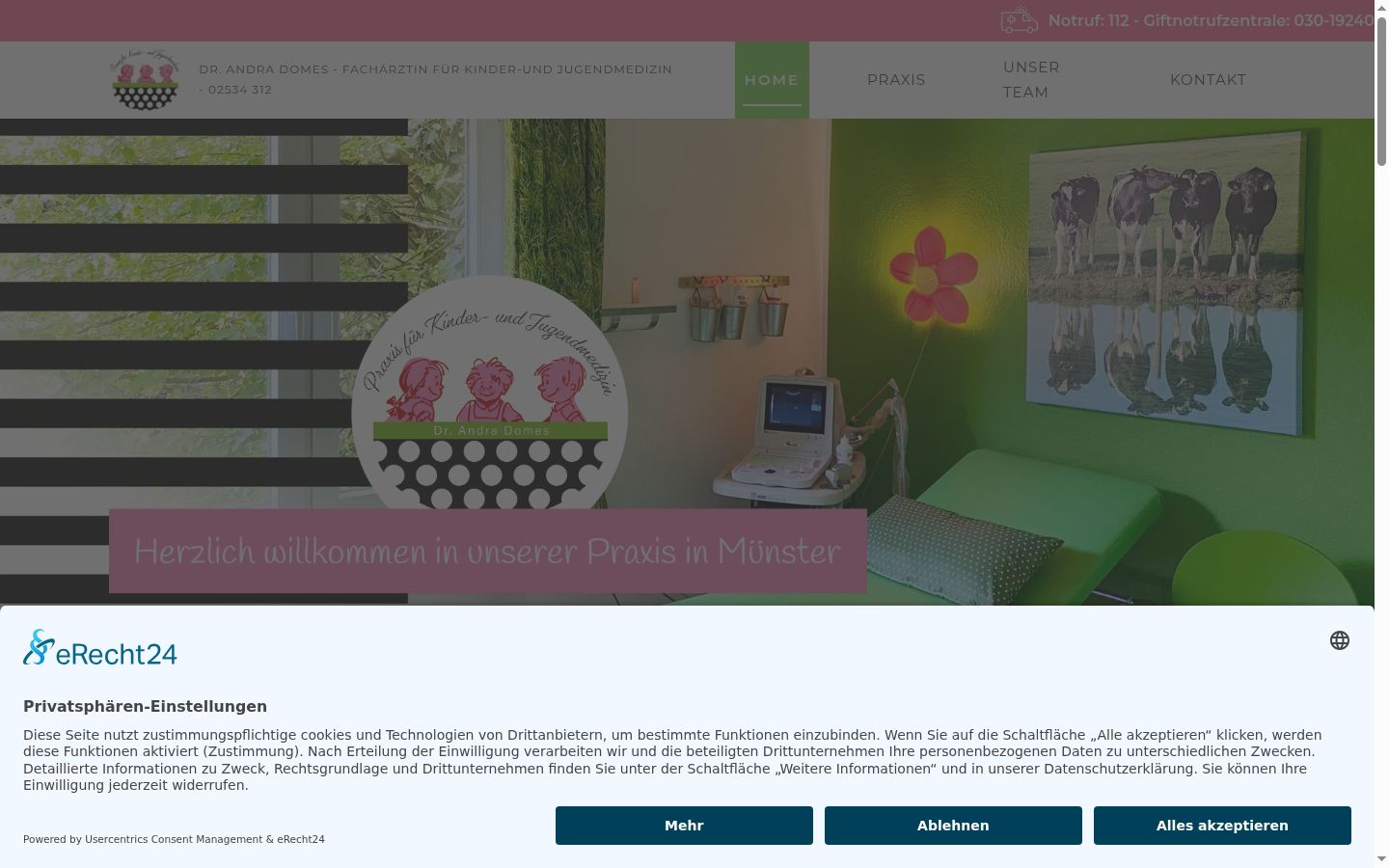 Screenshot of the consent banner shown before any interaction