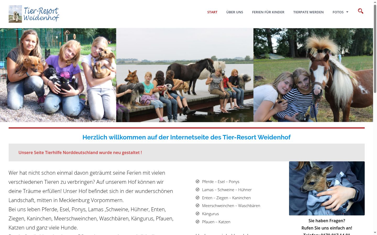 Sutikimo reklamjuostės, rodytos prieš bet kokią sąveiką, ekrano kopija