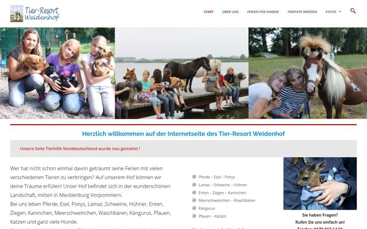 Screenshot of kindercamp-tierresort.de