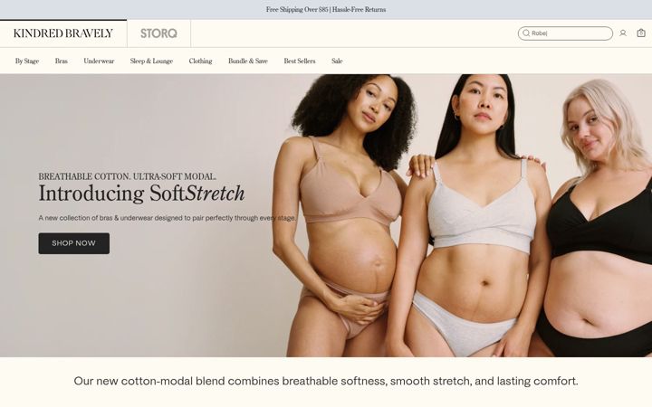Screenshot of kindredbravely.com
