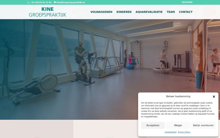 Screenshot of kinegroepspraktijk.be