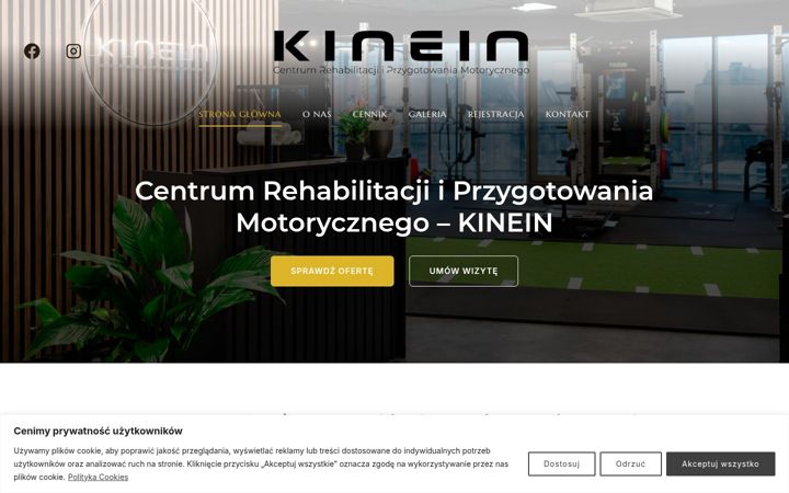 Screenshot of kinein.pl