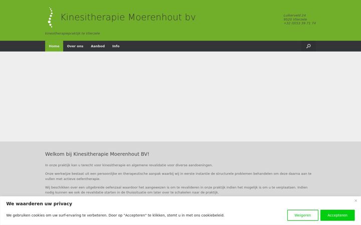 Screenshot of kinemoerenhout.be