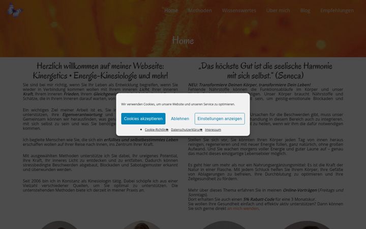 Screenshot of kinergetics.de