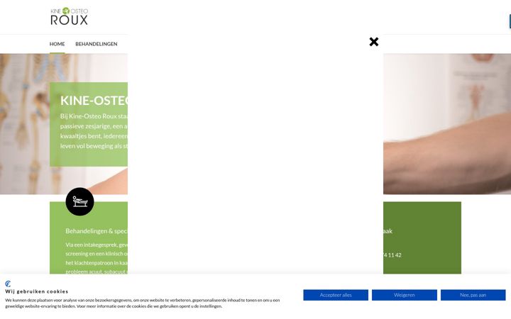 Screenshot of kineroux.be