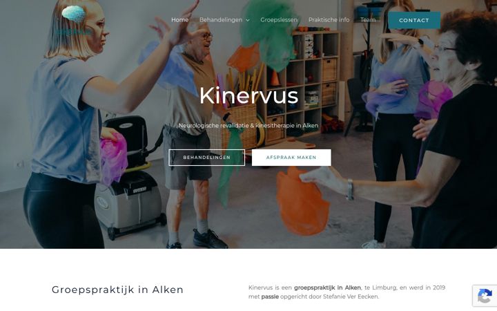 Screenshot of kinervus.be
