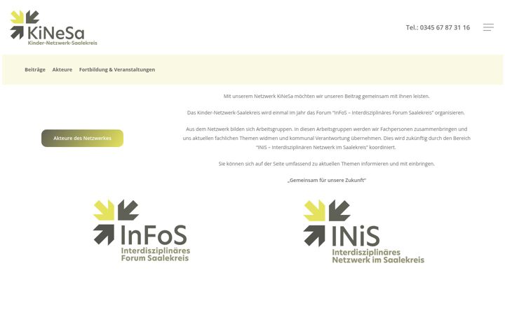 Screenshot of kinesa.de