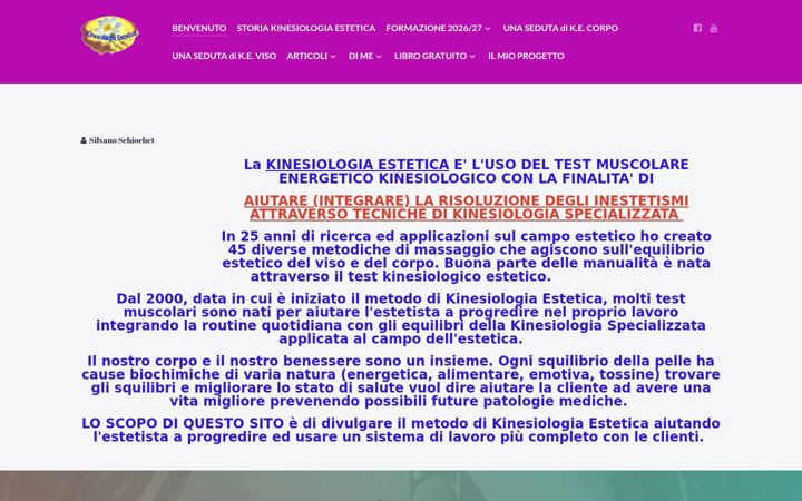 Screenshot of kinesiologiaestetica.com