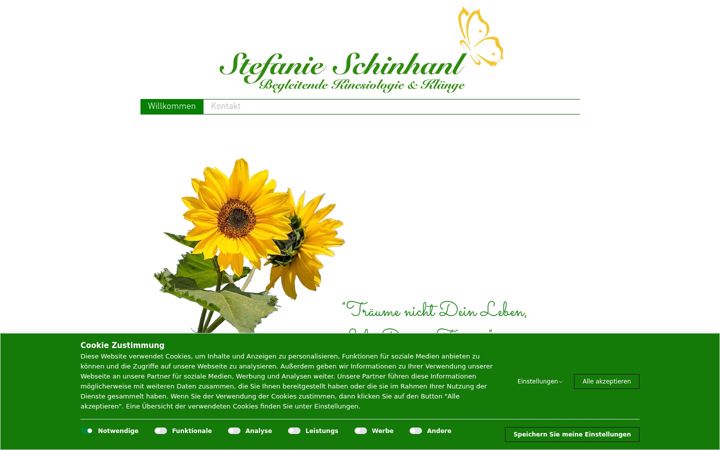 Screenshot of kinesiologie-schinhanl.de