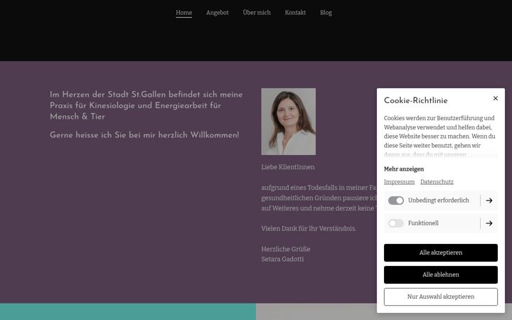 Screenshot of kinesiologie-setara.com