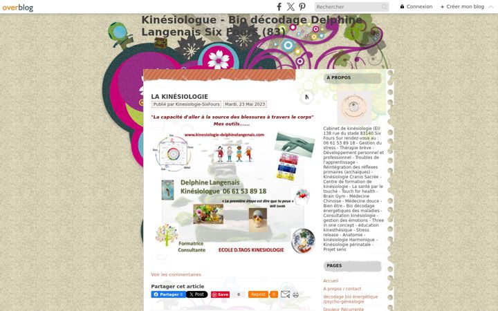Screenshot of kinesiologie-sixfours.com