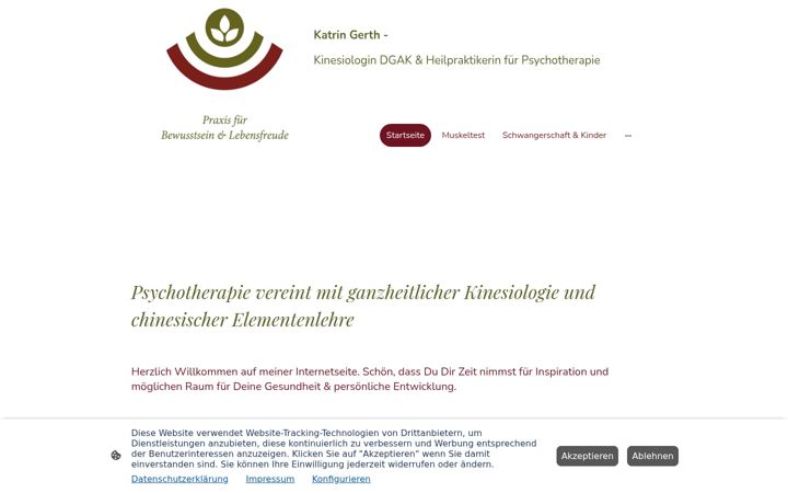 Screenshot of kinesiologie-syke.de