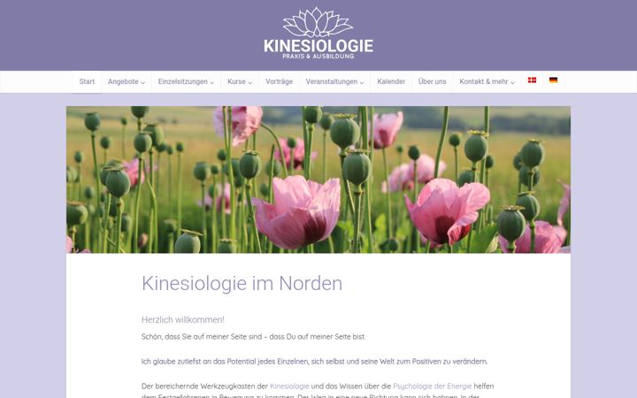 Screenshot of kinesiologienord.de