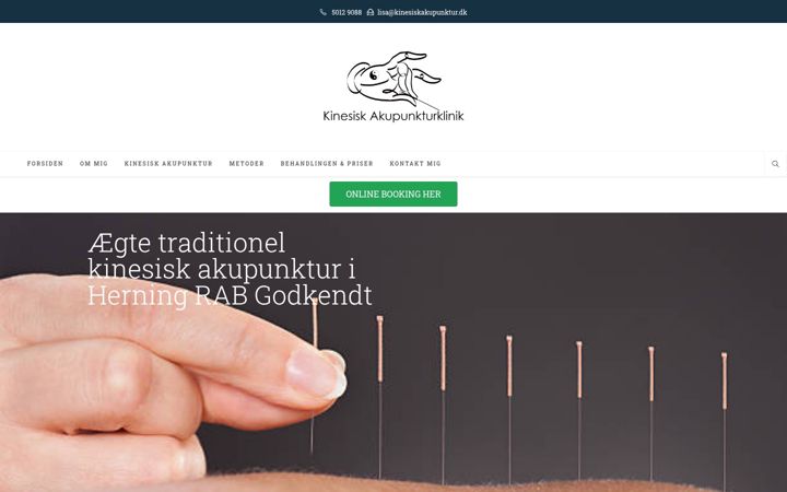 Screenshot of kinesiskakupunktur.dk