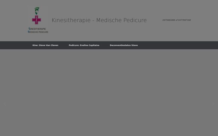 Screenshot of kinesistblankenberge.be