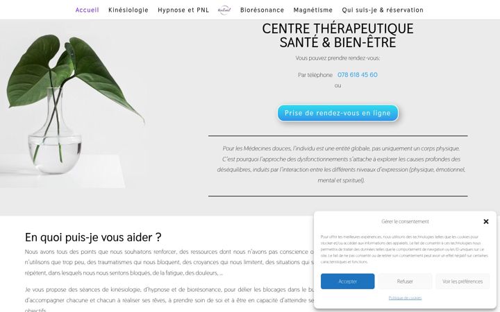 Screenshot of kineveil.ch