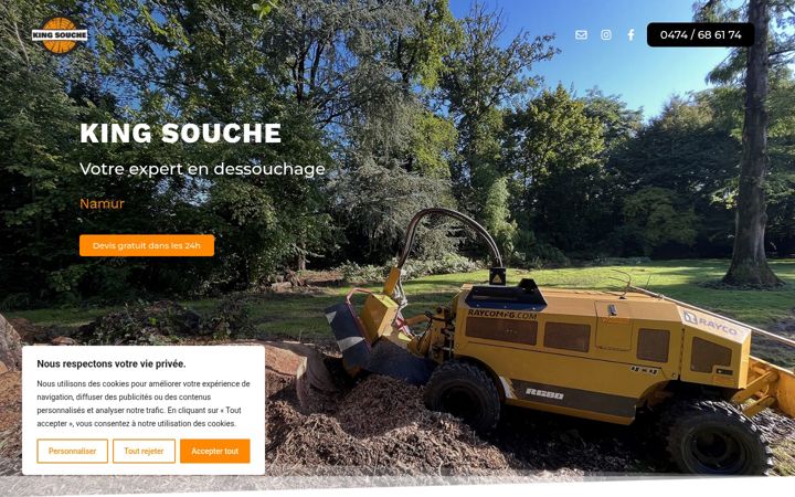 Screenshot of king-souche.be