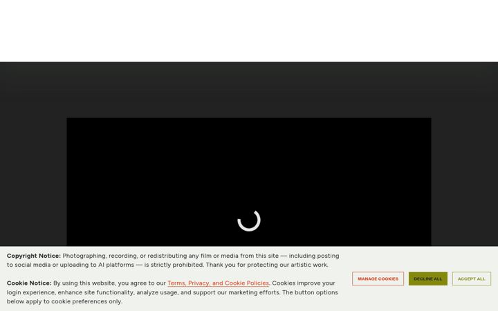 Screenshot of kingdancefilm.com