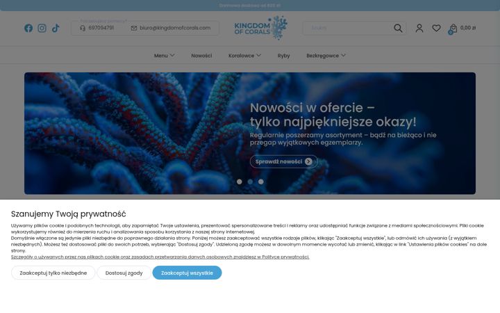 Screenshot of kingdomofcorals.com