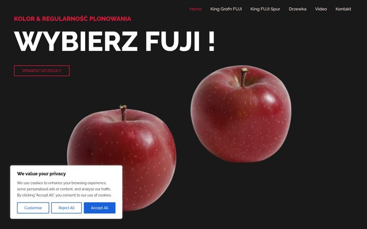 Screenshot of kingfuji.pl