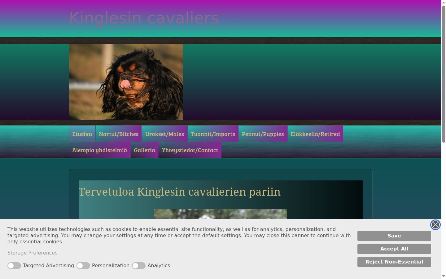 Screenshot des Einwilligungsbanners vor jeglicher Interaktion