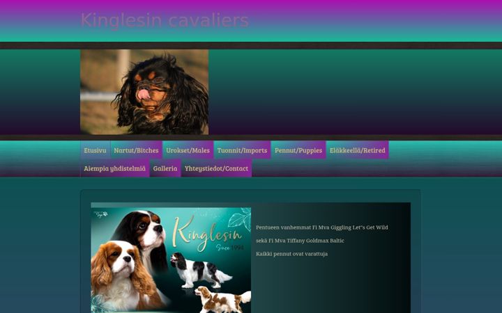 Screenshot of kinglesin.fi