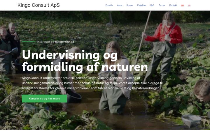 Screenshot of kingoconsult.dk