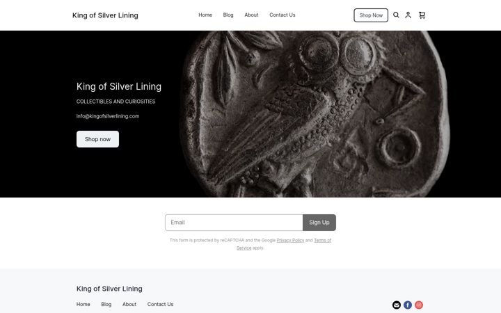 kingofsilverlining.com