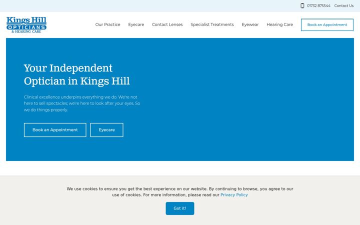 Screenshot of kingshillopticians.co.uk