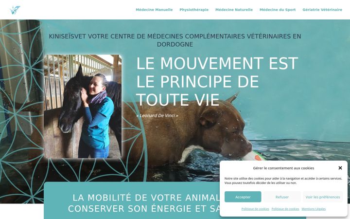 Screenshot of kiniseisvet.fr