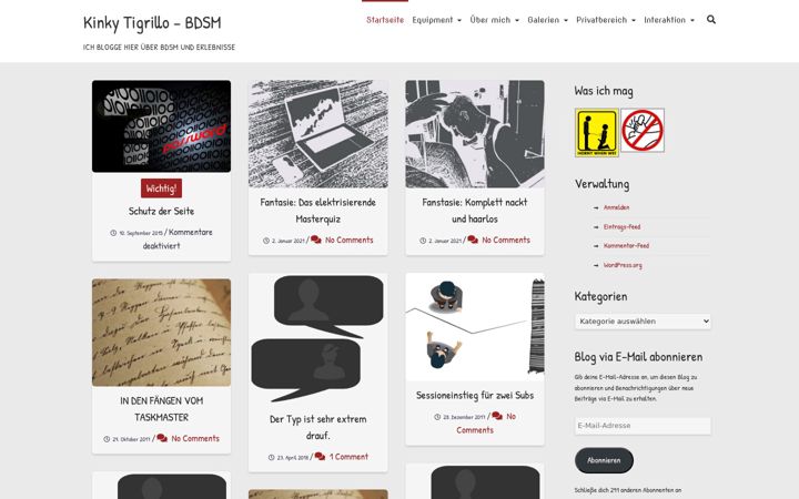 Screenshot of kinky-tigrillo.de