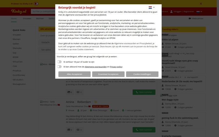 Screenshot of kinky.nl