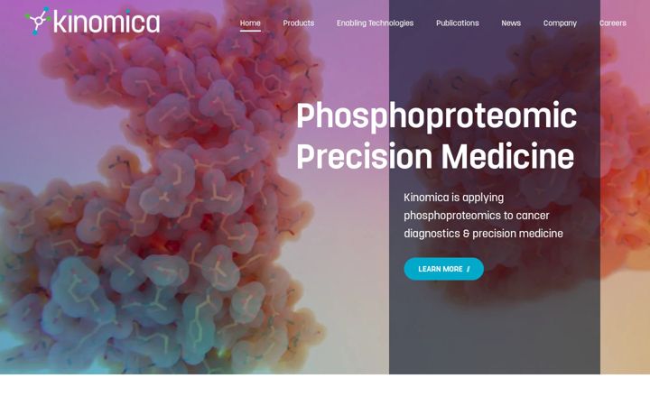 Screenshot of kinomica.com